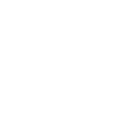 Velsai Logo