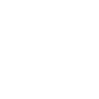 Velsai Logo