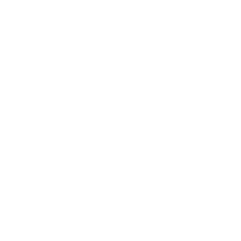 Velsai Logo